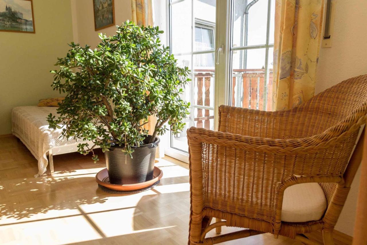 Gaestehaus Bechtloff Meißen المظهر الخارجي الصورة