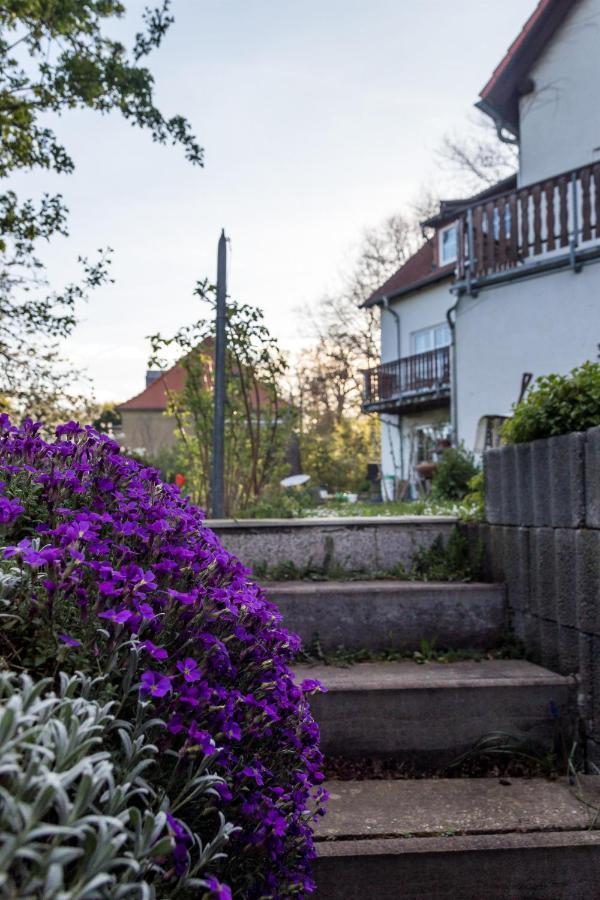 Gaestehaus Bechtloff Meißen المظهر الخارجي الصورة